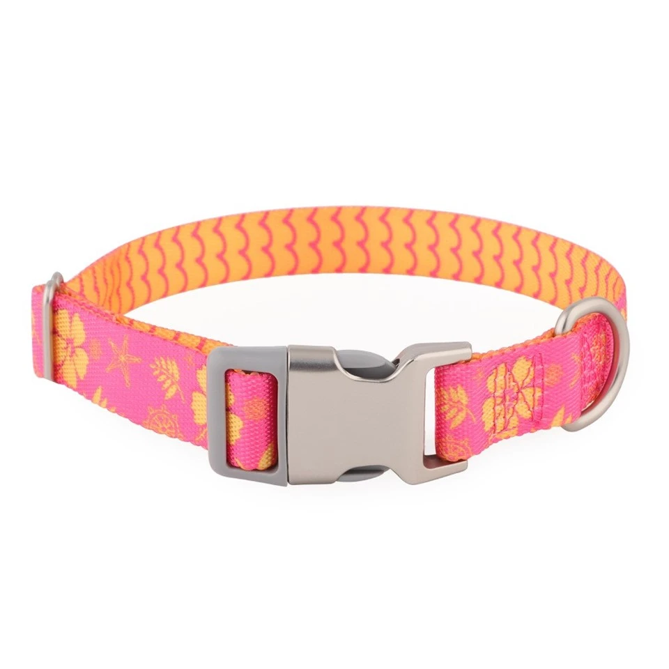Printed Nylon Dog Collar high quality