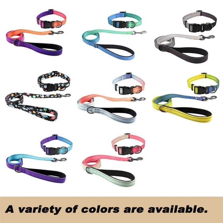 Reflective Dog Collar And Leash Set