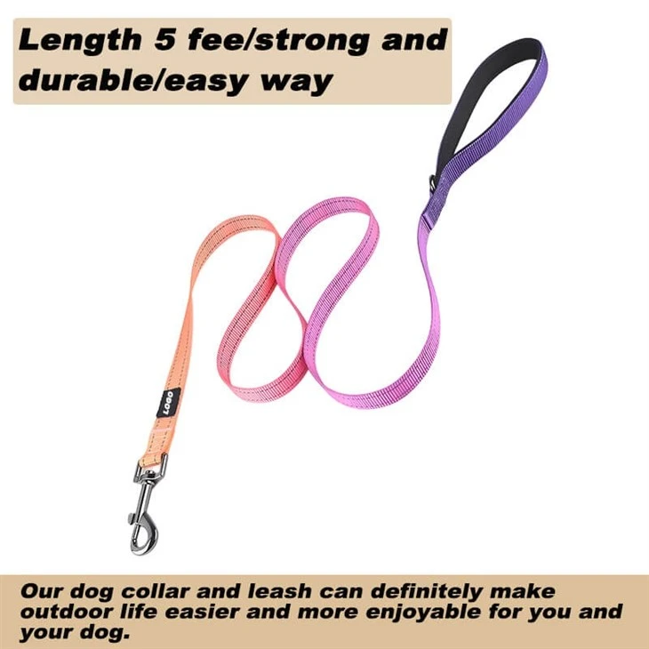 Reflective Dog Collar And Leash Set