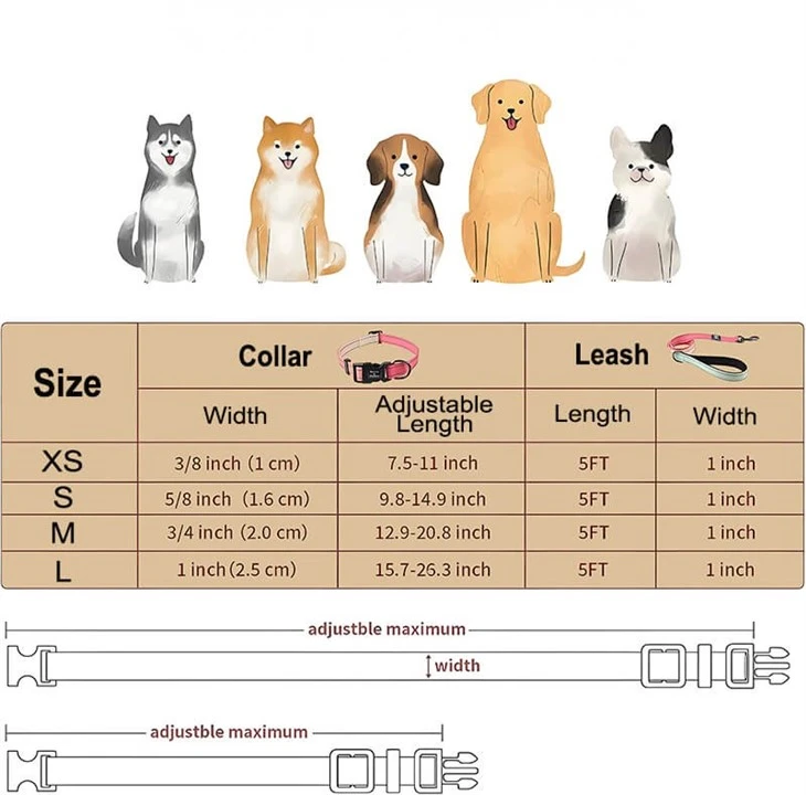 Reflective Dog Collar And Leash Set