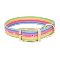 PVC Printing Dog Collar PVC Printing Dog Collar